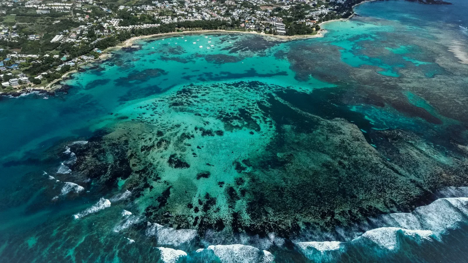 Photo 1 - Île Maurice