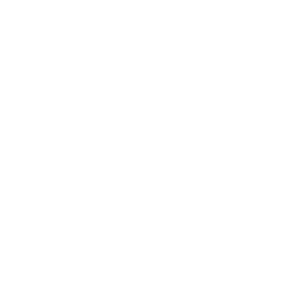 Alpina Raid